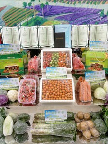 首屆金昌農(nóng)產(chǎn)品展覽會圓滿落幕 初加工食用農(nóng)產(chǎn)品引領農(nóng)業(yè)新風向