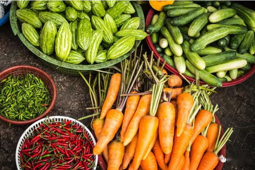 2020關鍵年 探索他國生態循環農業模式，深化食用農產品初加工發展